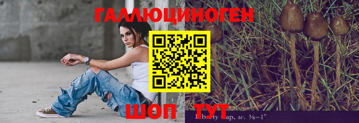 Углич  Псилоцибиновые грибы мицелий  Вход с VPN  Псилоцибиновые грибы Psilocybe 