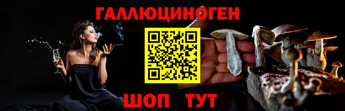 Галлюциногенные грибы Psilocybine cubensis Углич